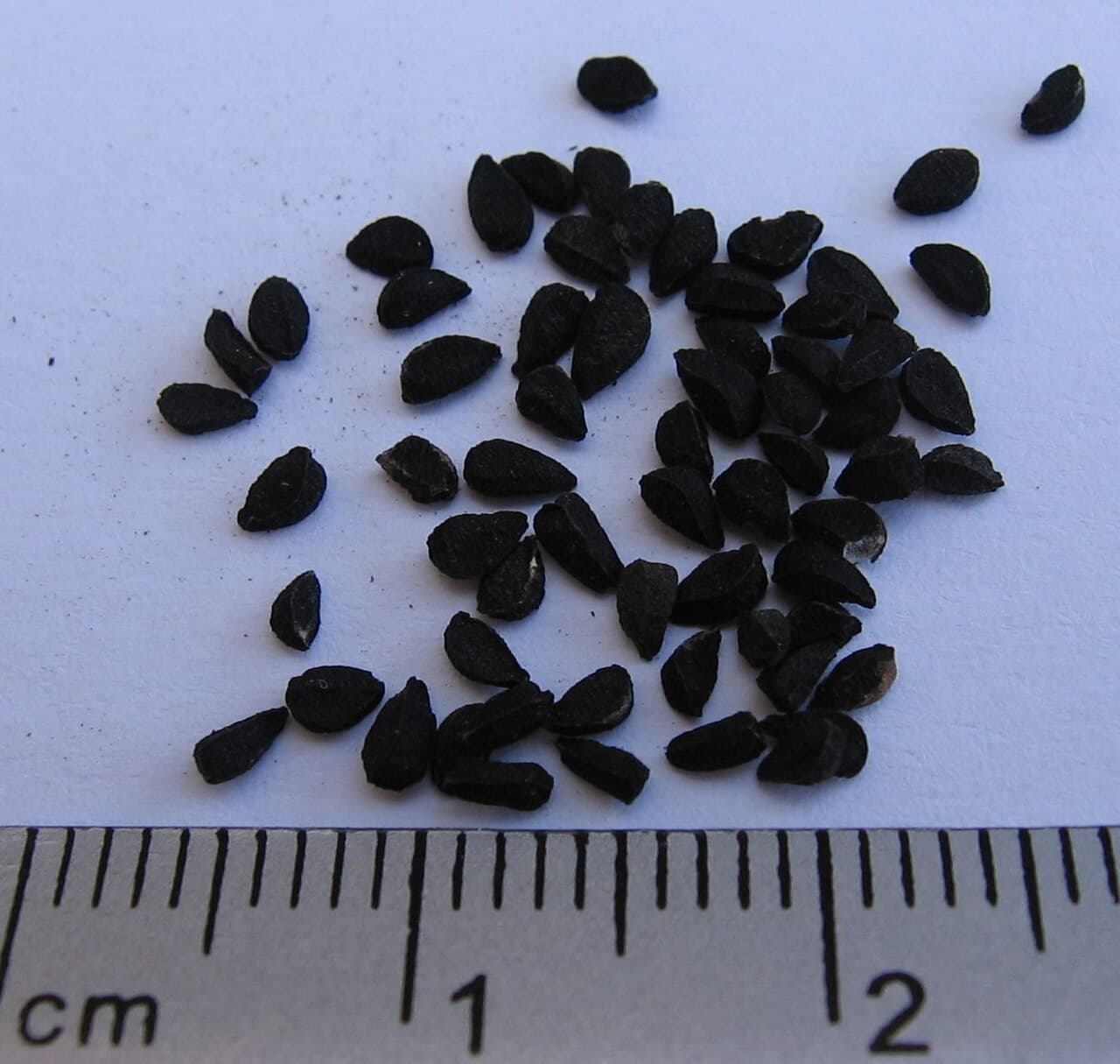 Highland Spices & Black Cumin Lots