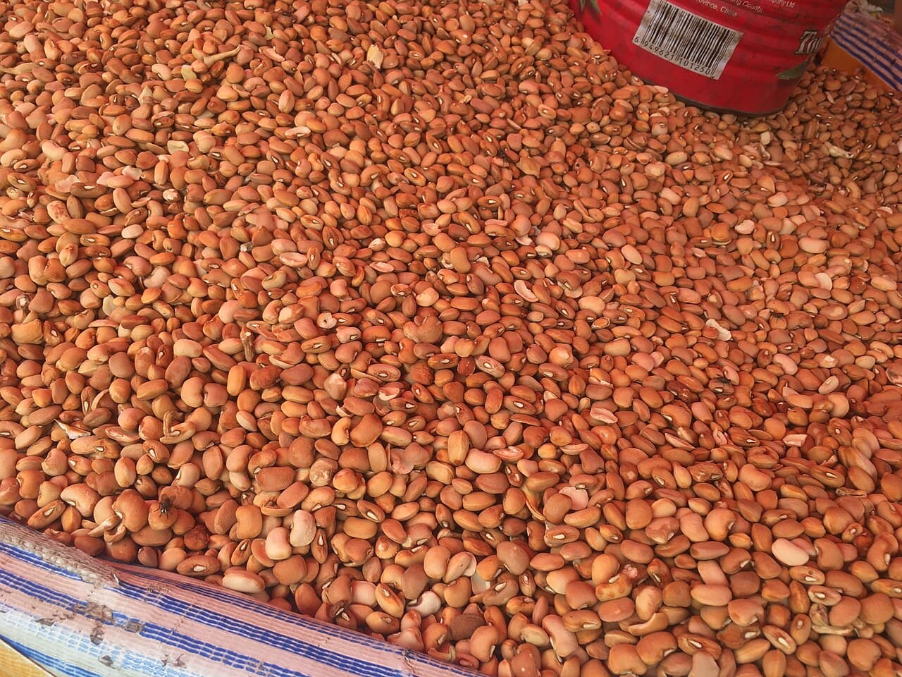 Pulses Collection & Optical Sorting