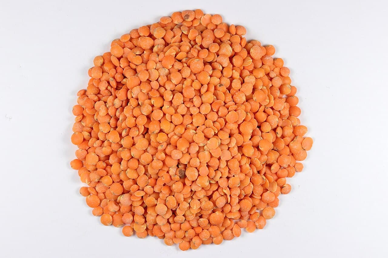 Export Quality Red Lentils
