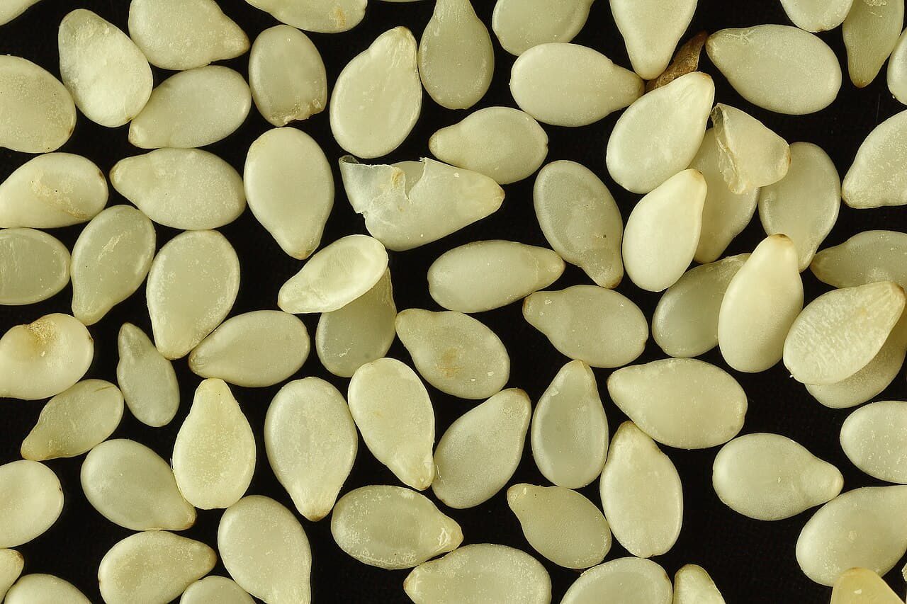 Humera Whitish Sesame Seeds