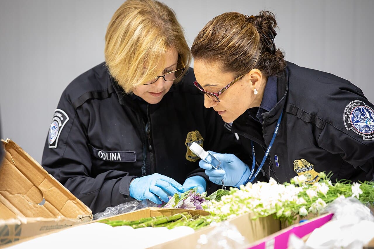 Quality Control & Ministry Inspection