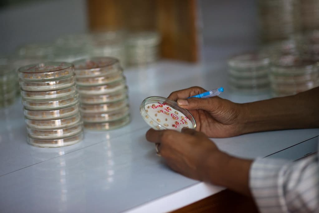 Grading Laboratory & Moisture Testing